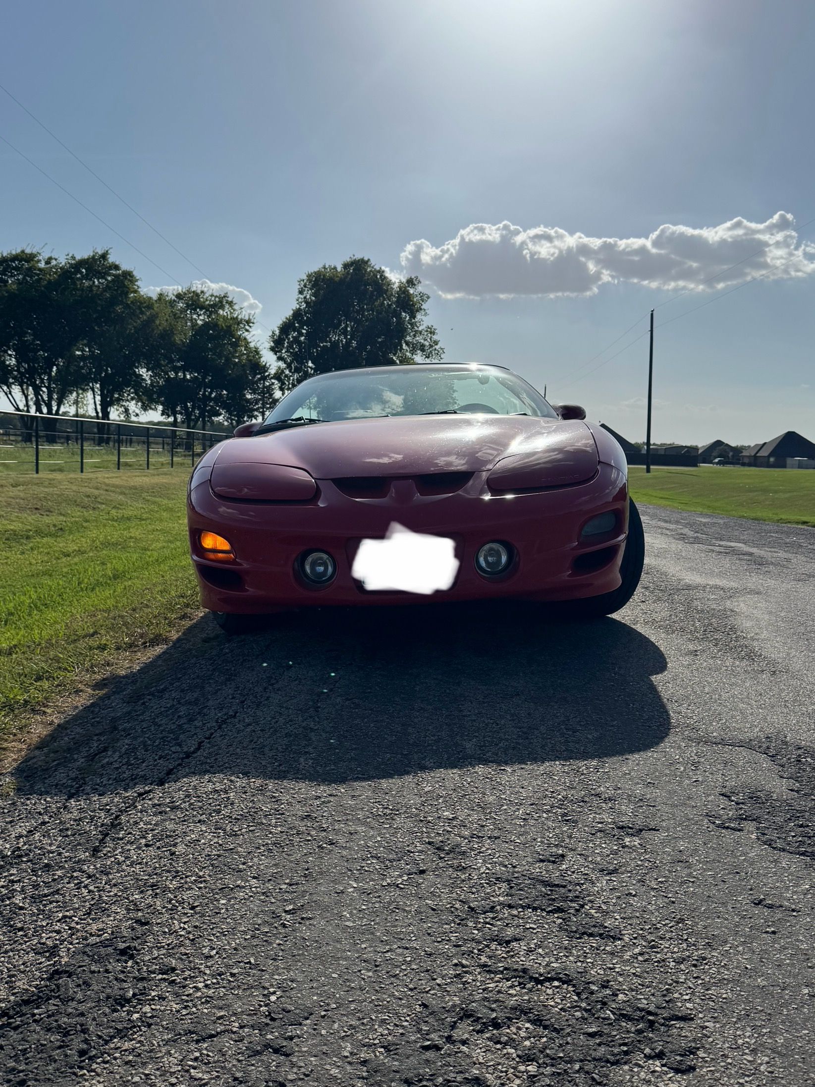 Used 2002 Pontiac Firebird Trans Am RWD image 2