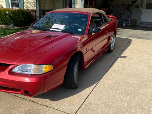 Used 1998 Ford Mustang Cobra image 6
