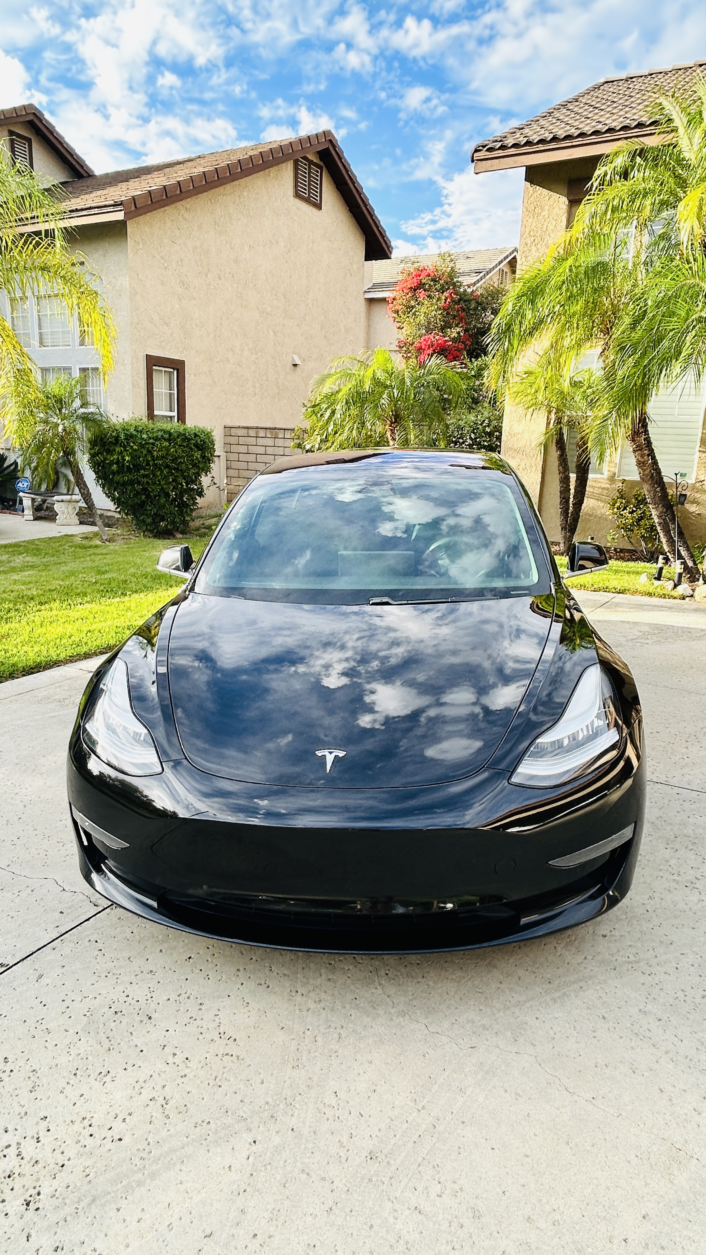 Used 2019 Tesla Model 3 RWD image 12