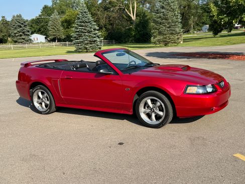 Used 2002 Ford Mustang GT Premium RWD image 4