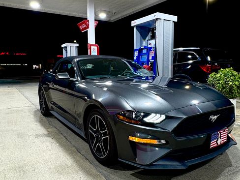 Used 2018 Ford Mustang Premium w/ Equipment Group 201A image 1