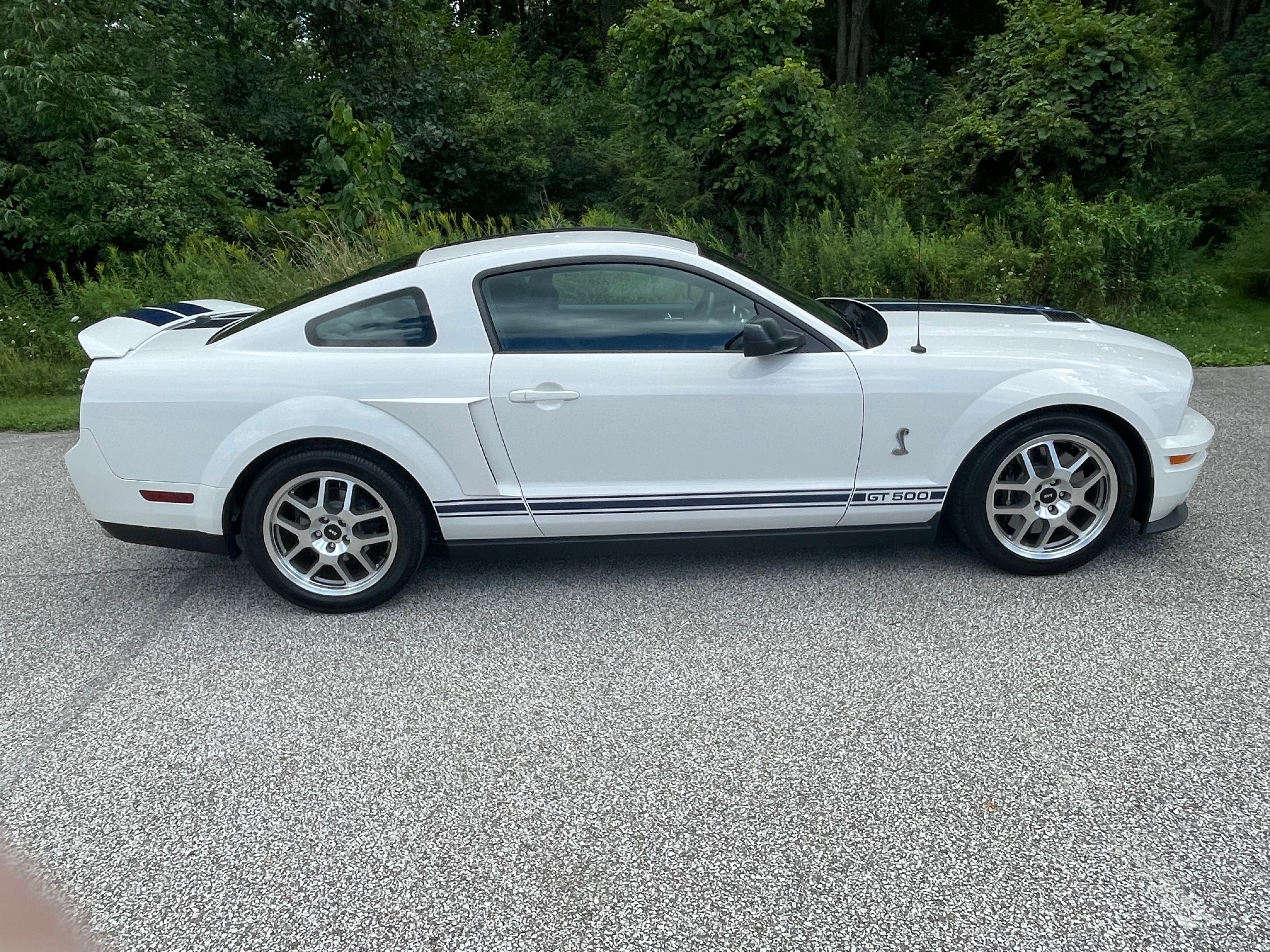 Used 2008 Ford Mustang Shelby GT500 RWD image 5