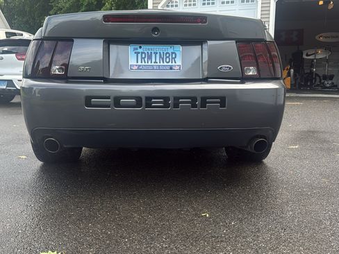 Used 2003 Ford Mustang Cobra RWD image 2