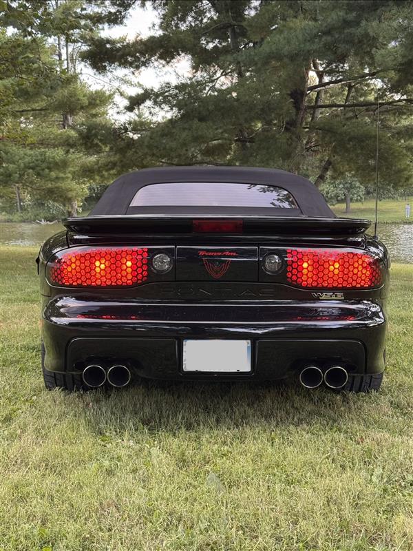 Used 2001 Pontiac Firebird Trans Am RWD image 8