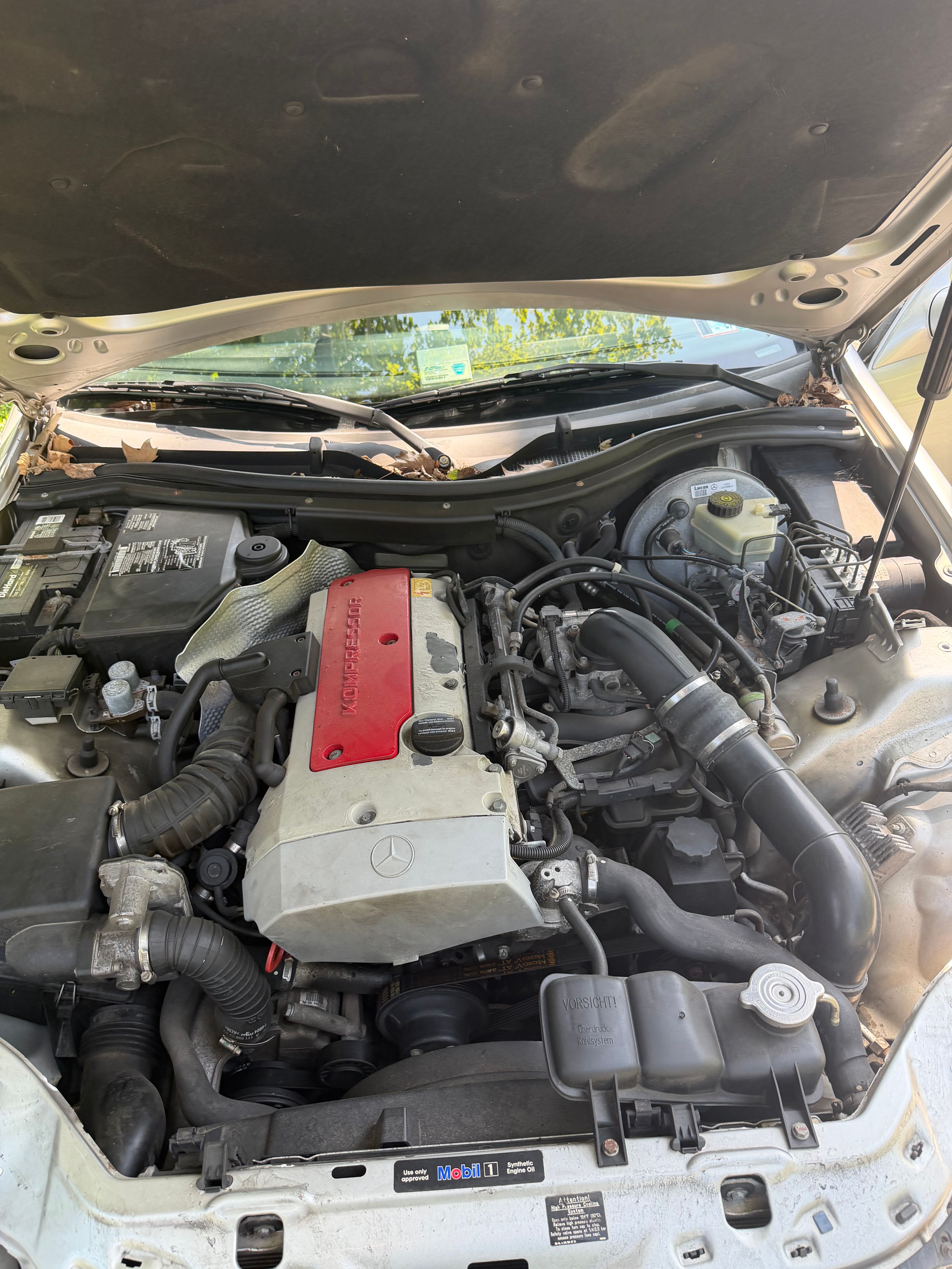 Used 1999 Mercedes-Benz SLK 230 image 5
