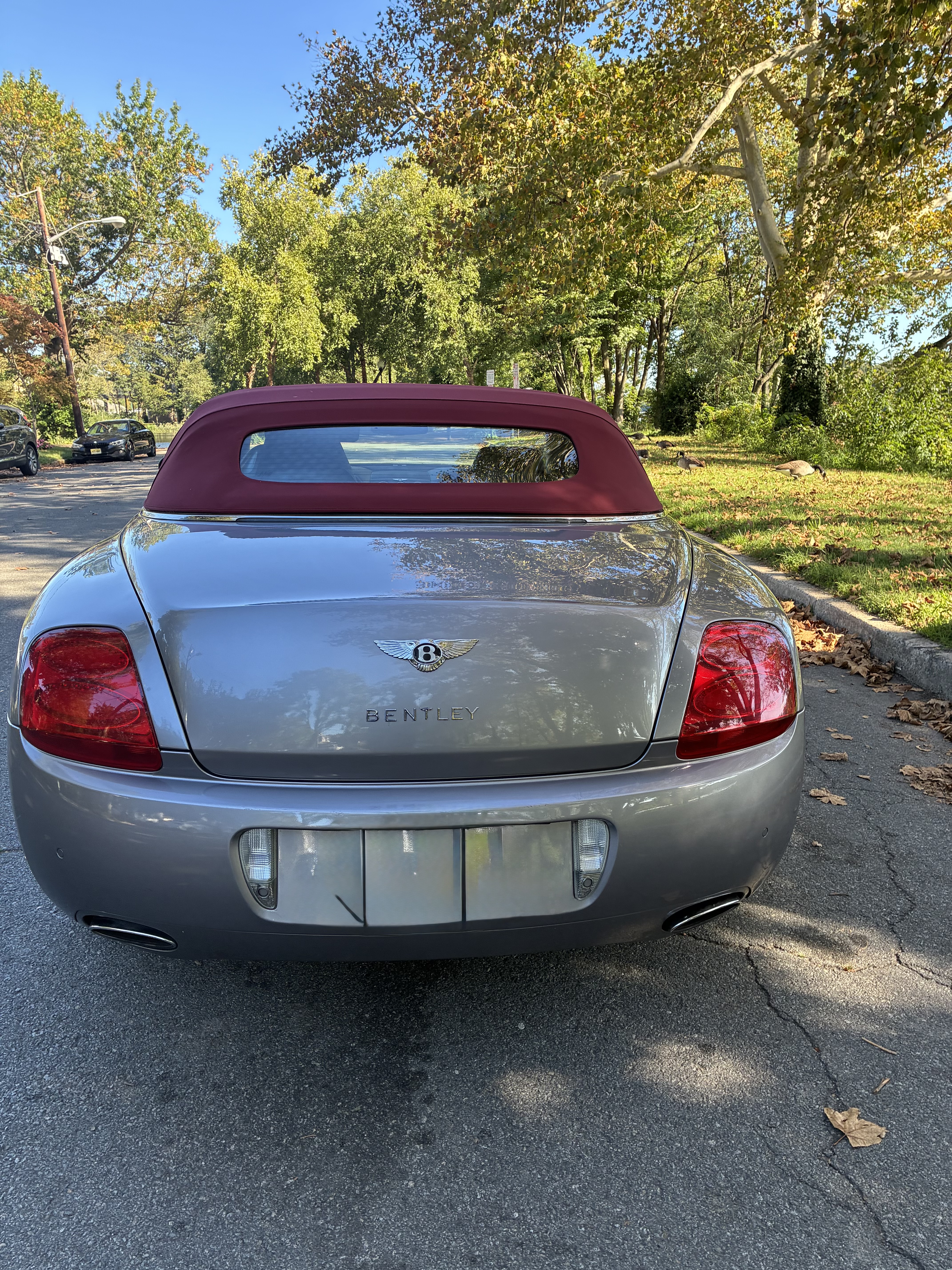 Used 2007 Bentley Continental GTC AWD/4WD image 6