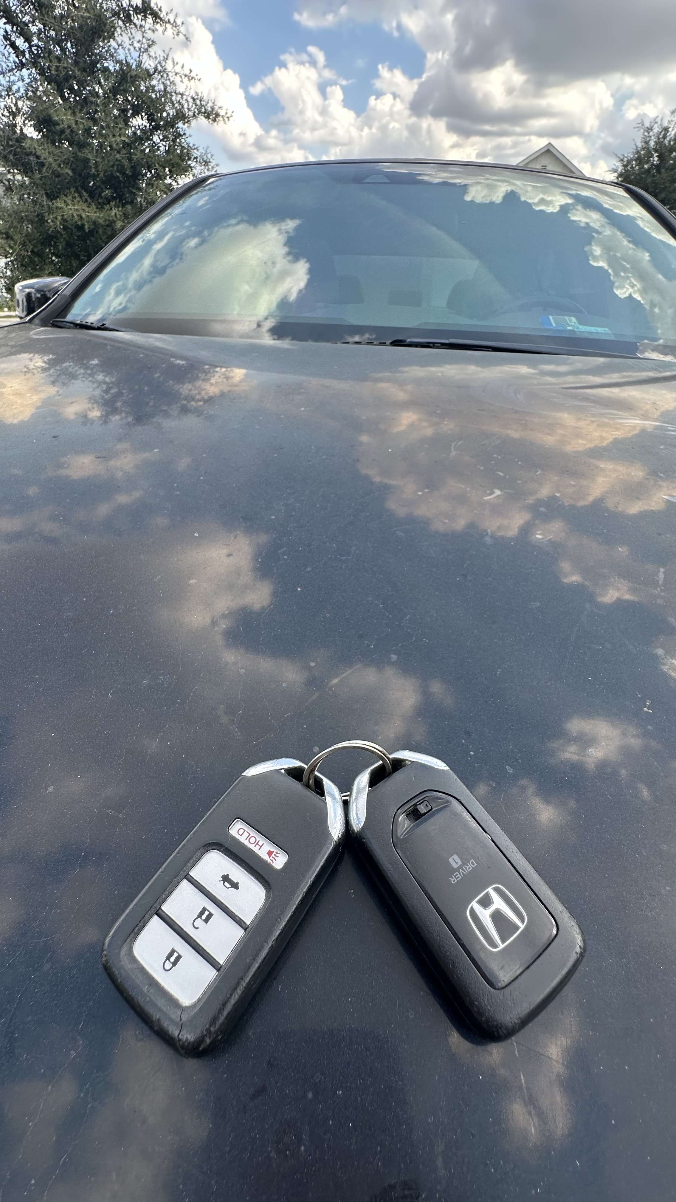 Used 2014 Honda Accord EX-L image 13