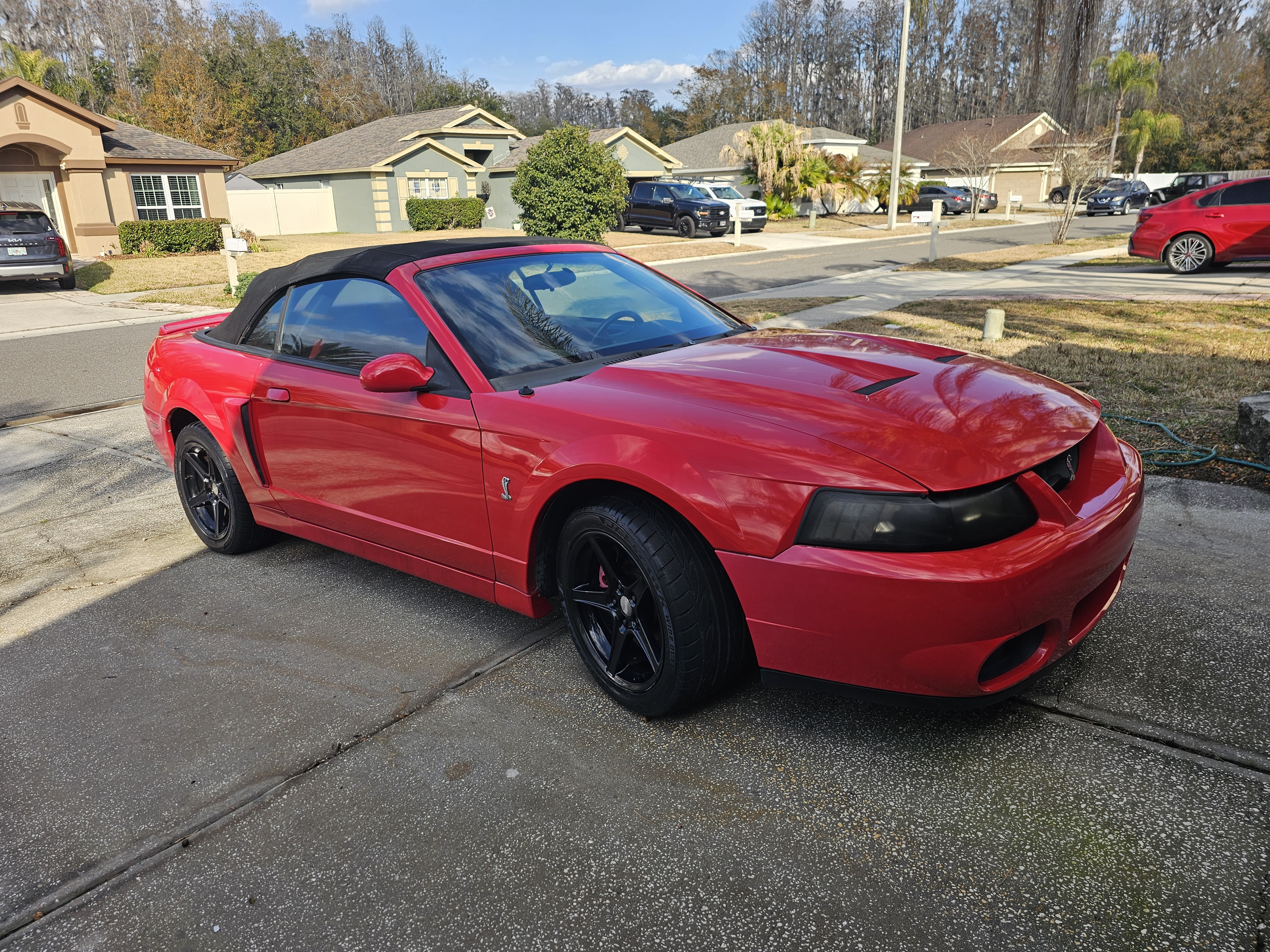 Used 2003 Ford Mustang Cobra RWD image 17