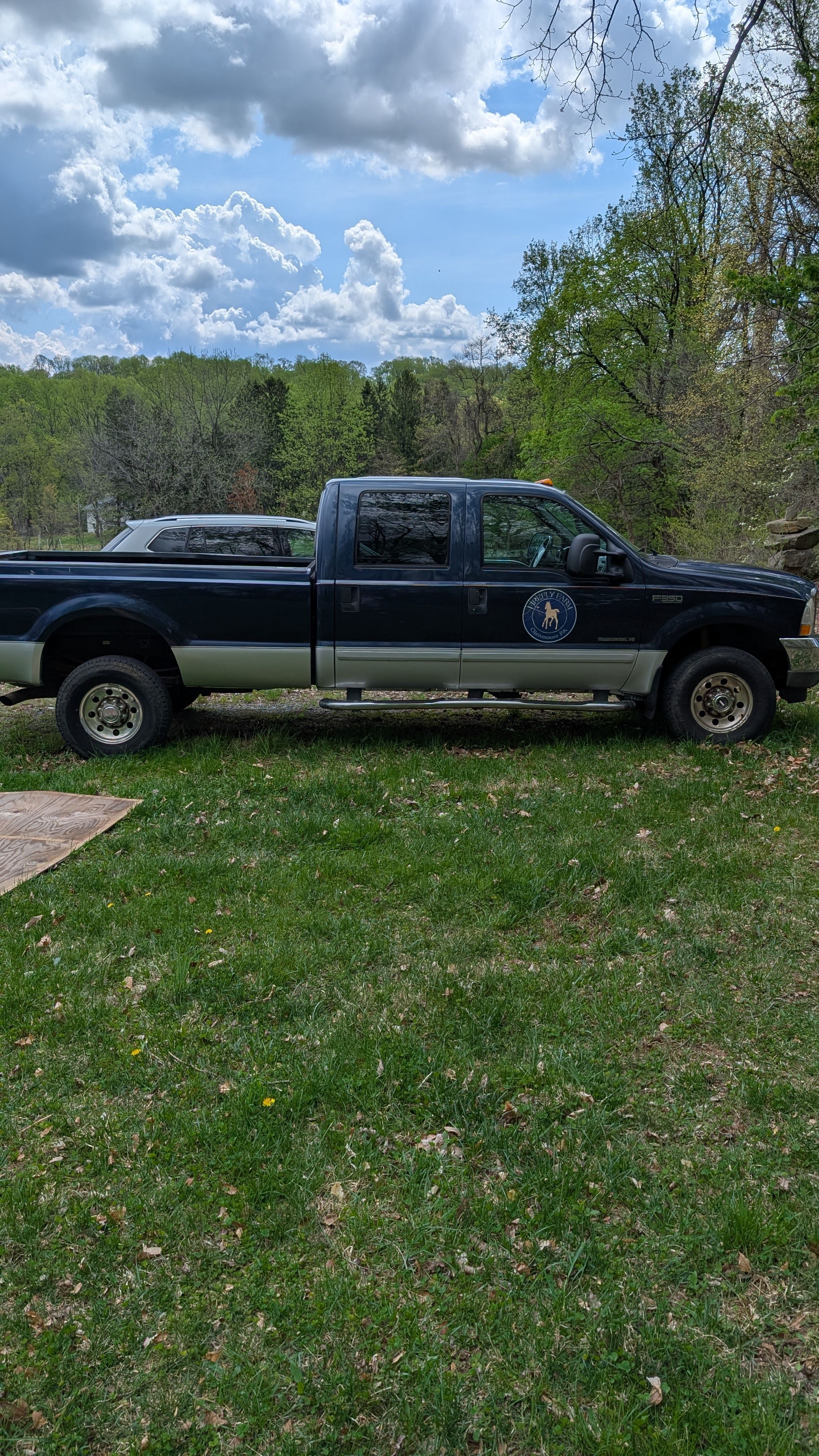 Used 2002 Ford F350 4x4 Crew Cab Super Duty image 2