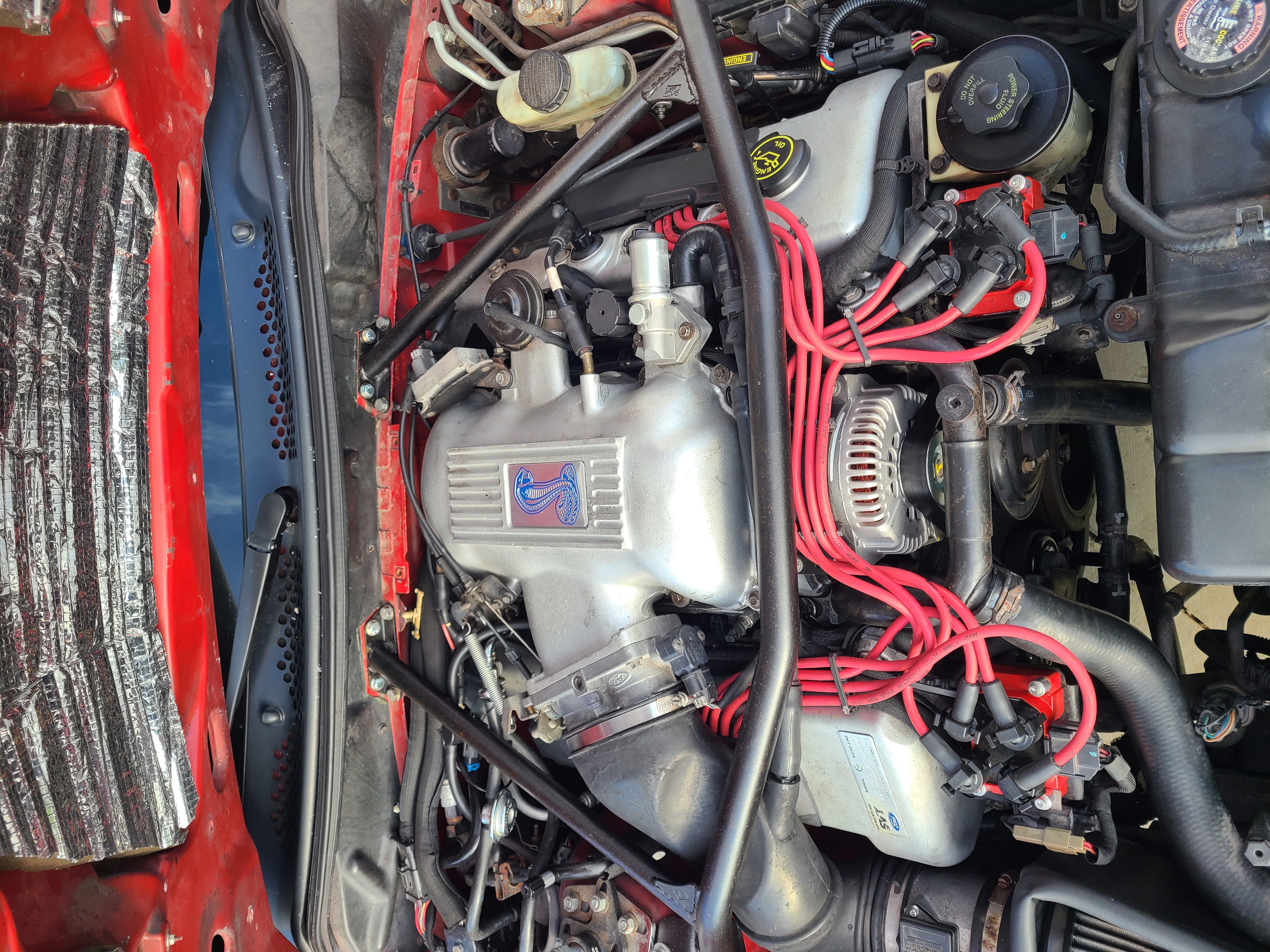 Used 1997 Ford Mustang Cobra RWD image 10