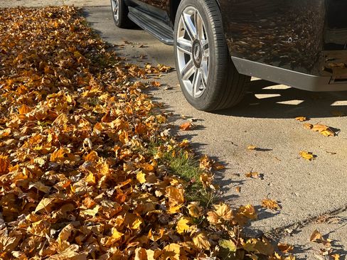 Used 2017 Cadillac Escalade Luxury image 6