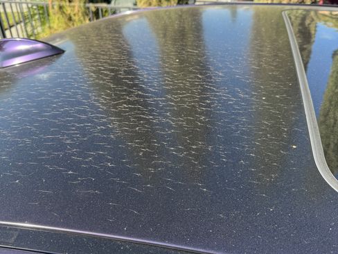 Used 2016 BMW M3 Sedan image 5