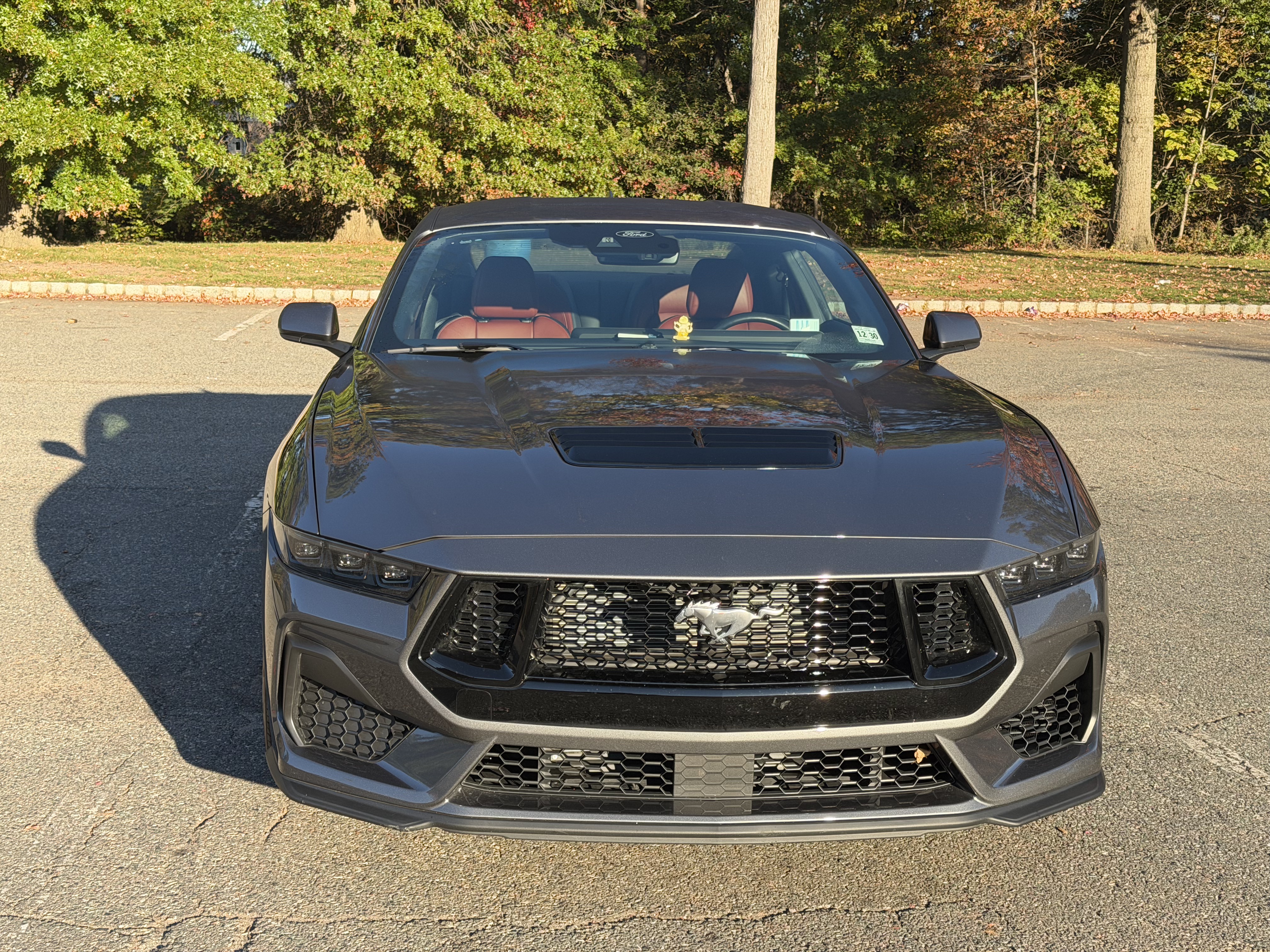 Used 2025 Ford Mustang GT Premium w/ GT Performance Package RWD image 4