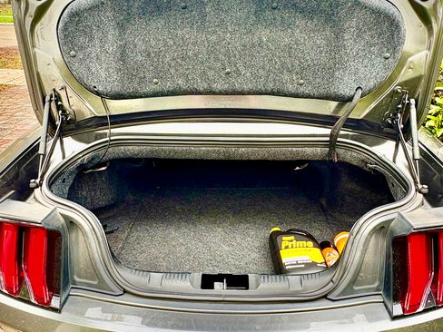 Used 2018 Ford Mustang Premium w/ Equipment Group 201A image 8