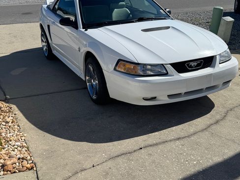 Used 1999 Ford Mustang GT RWD image 5