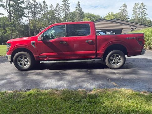 Used 2024 Ford F150 XLT w/ Equipment Group 302A MID AWD/4WD image 4