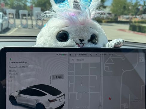 Used 2021 Tesla Model Y Long Range image 6