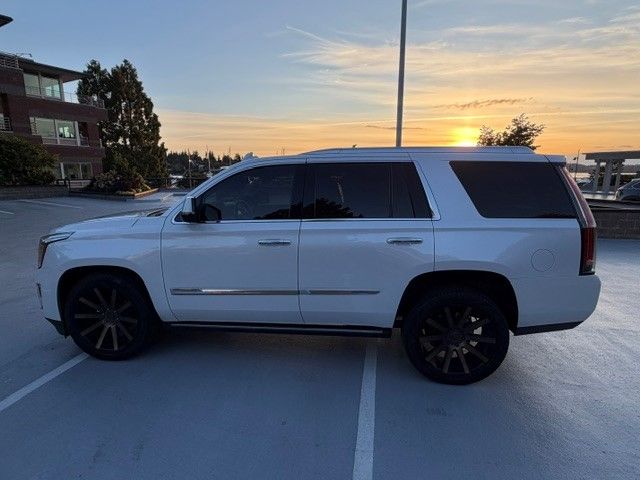 Used 2016 Cadillac Escalade Premium AWD/4WD image 5