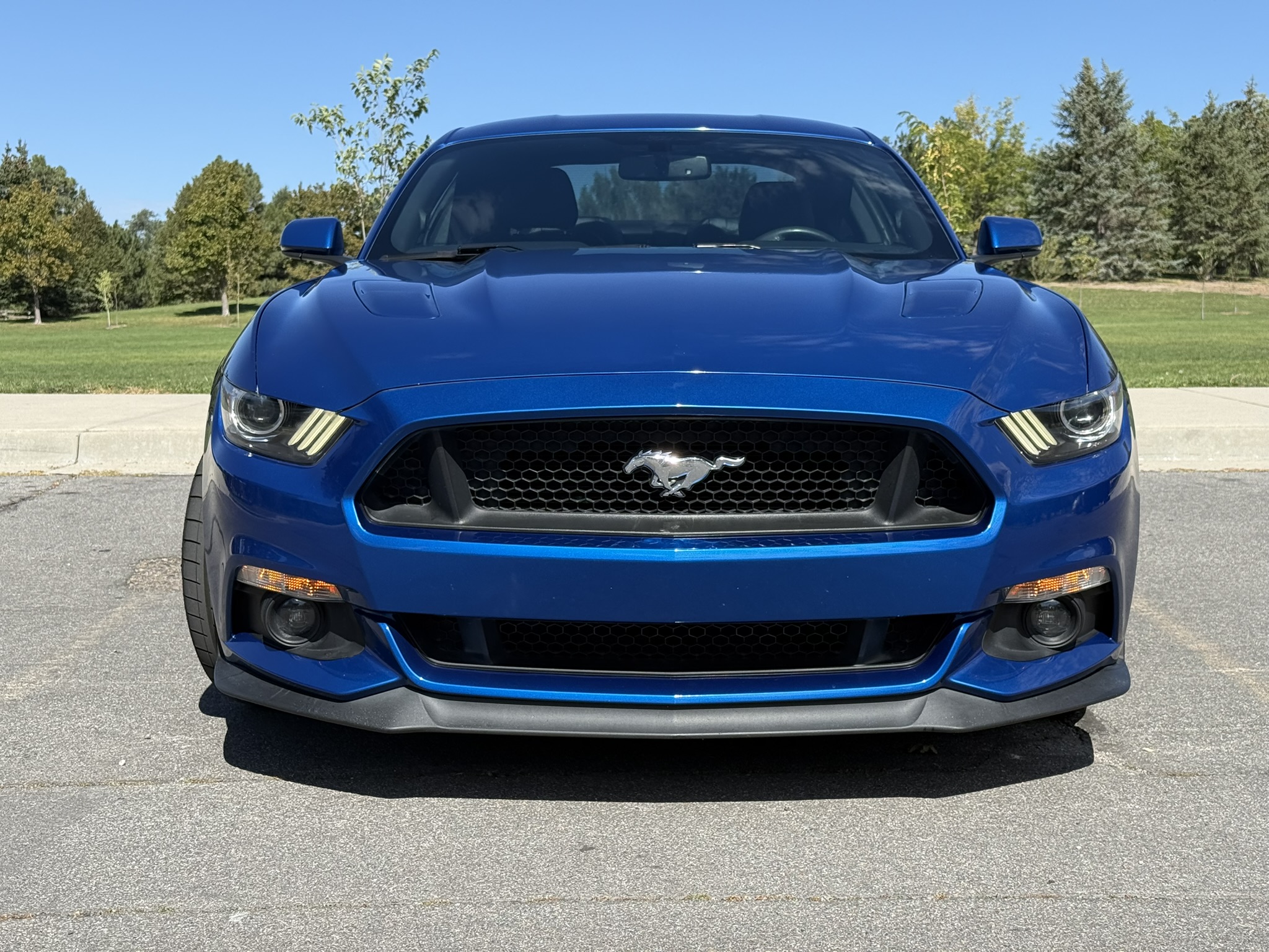 Used 2017 Ford Mustang GT Premium w/ GT Performance Package RWD image 2