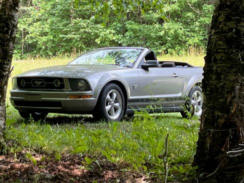 Used 2009 Ford Mustang Premium image 9