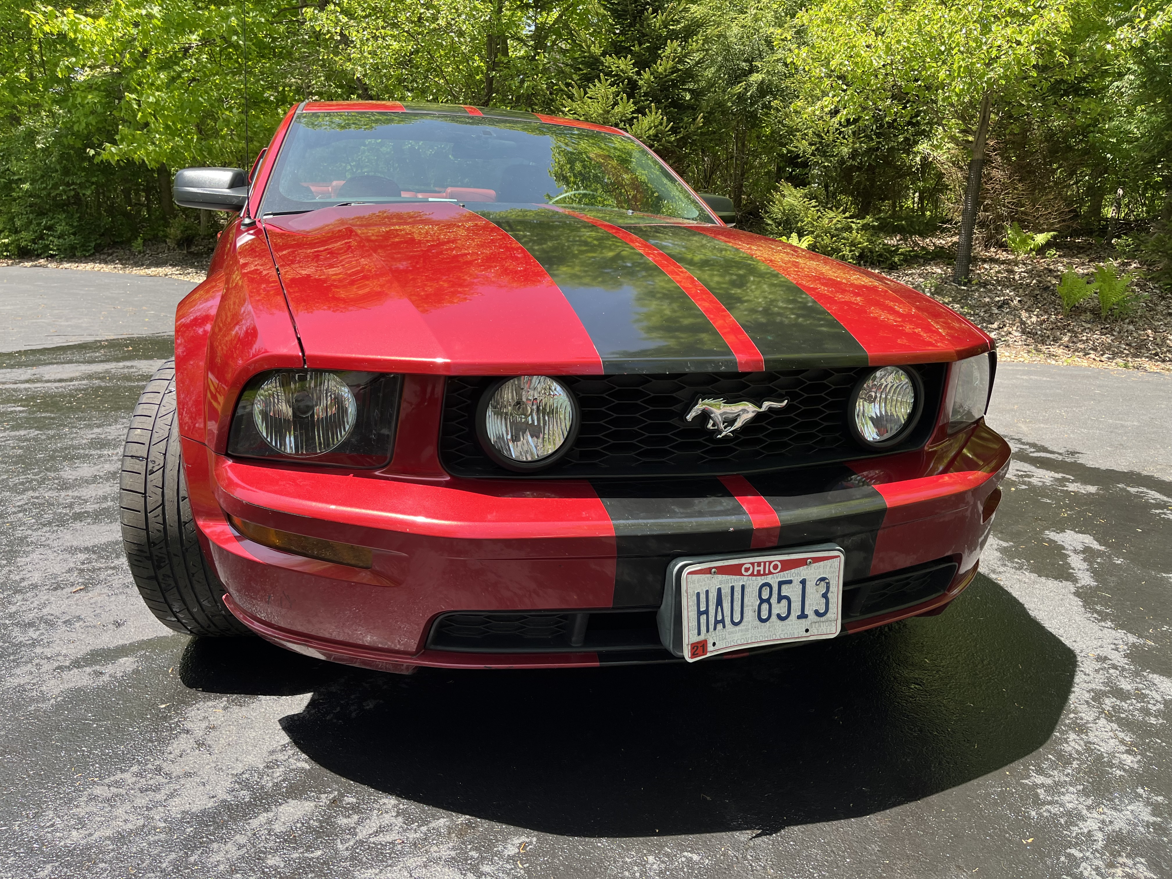 Used 2005 Ford Mustang GT Premium RWD image 5