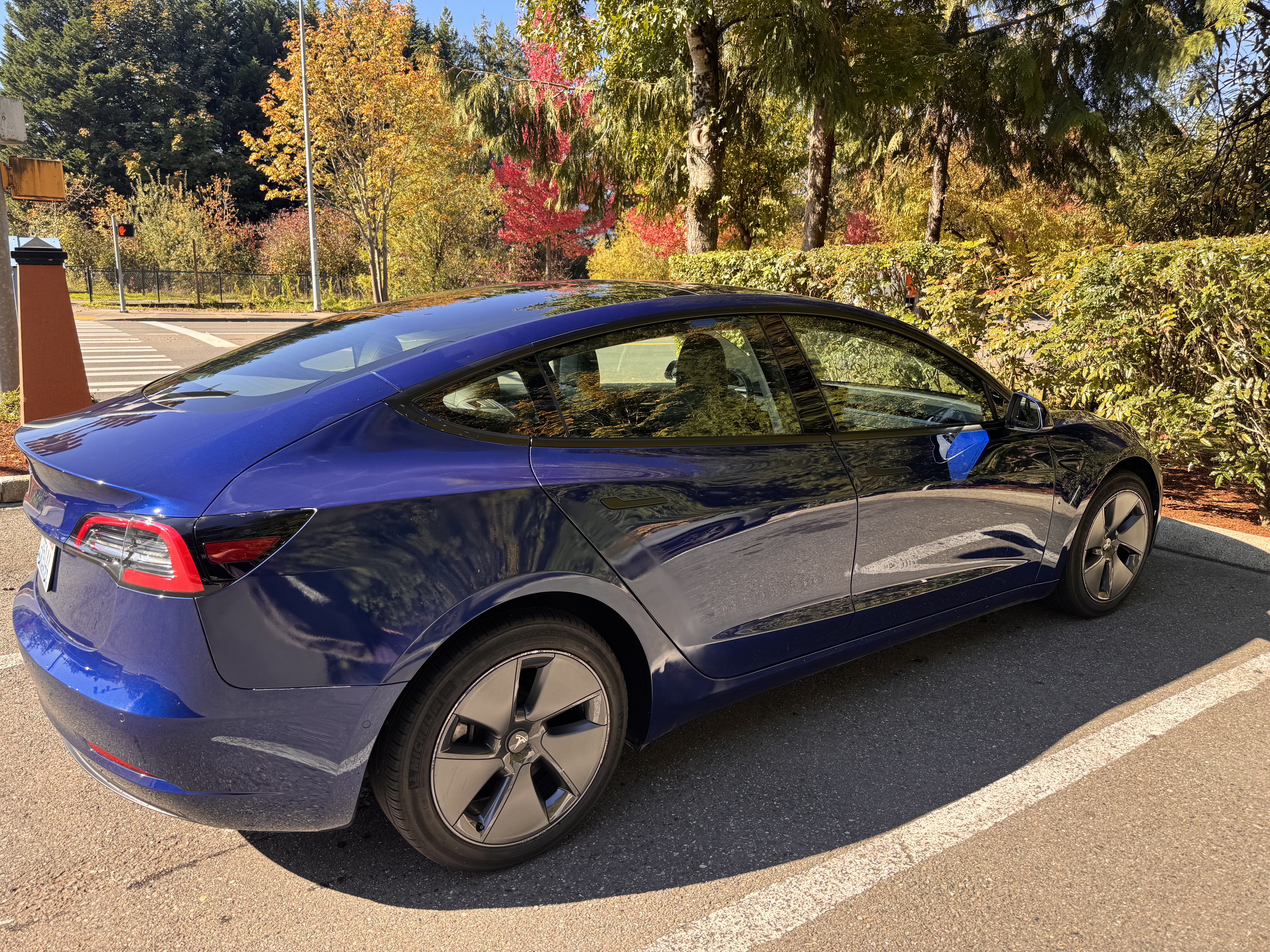 Used 2022 Tesla Model 3 RWD image 2