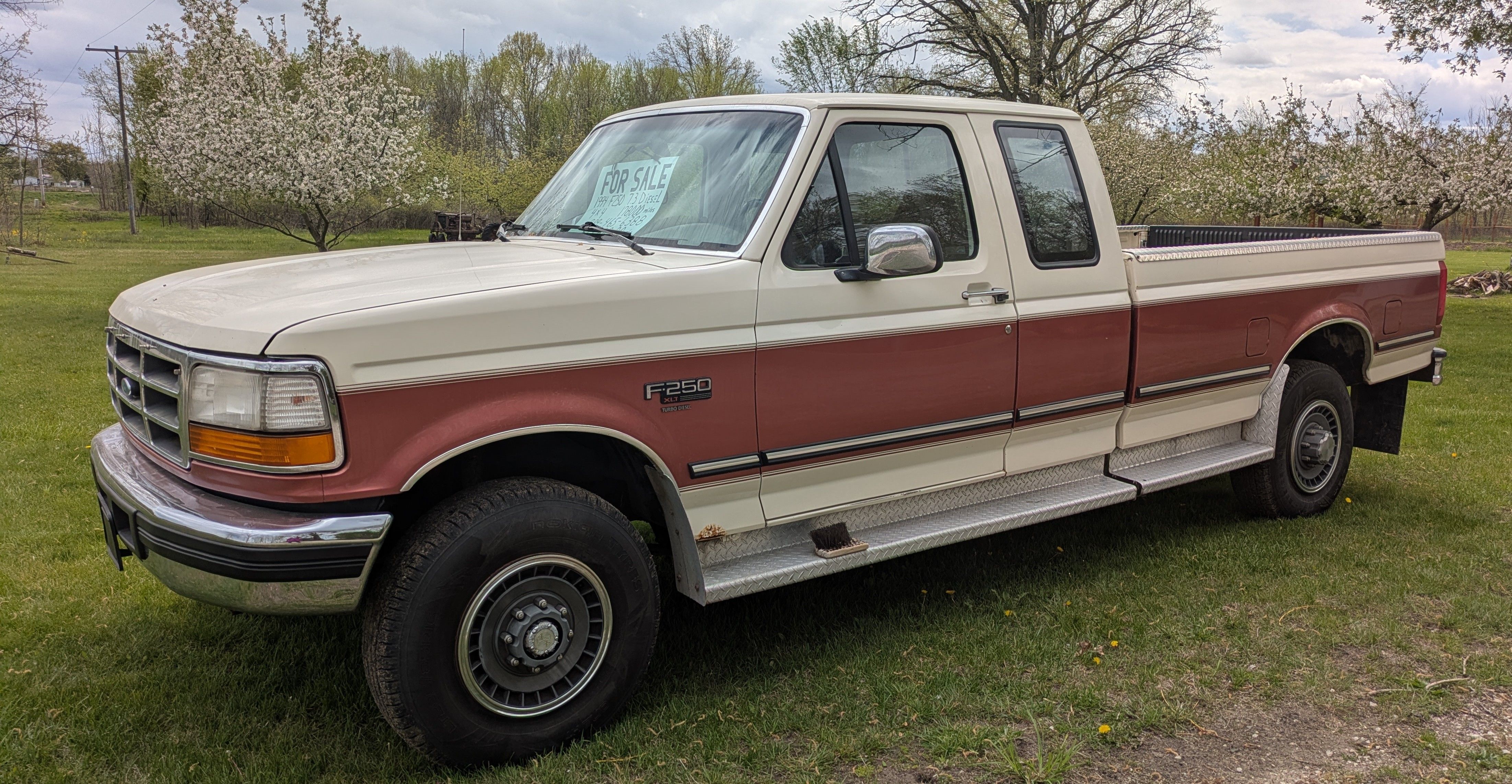 Used 1994 Ford F250 4x4 SuperCab image 2