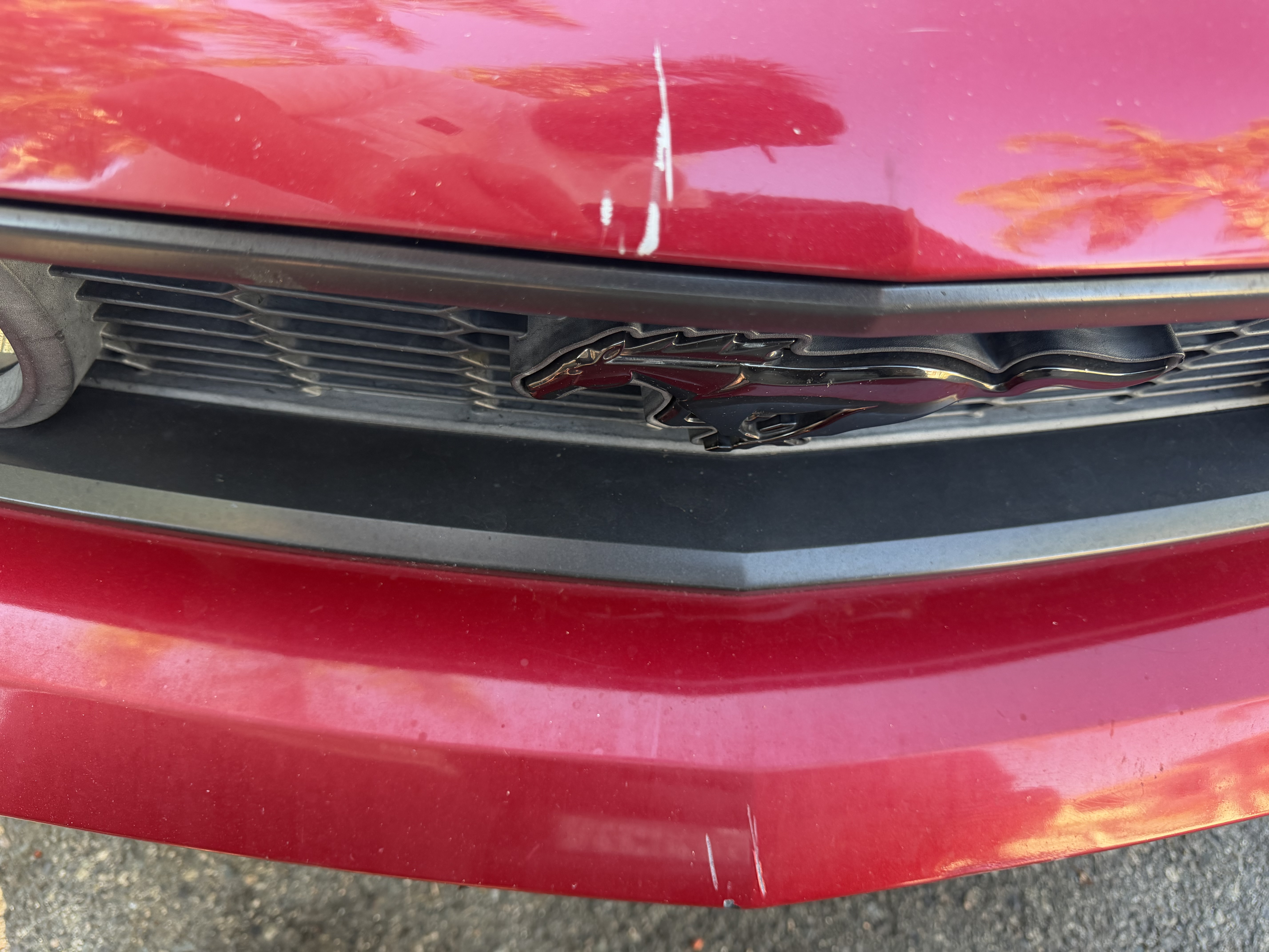Used 2010 Ford Mustang GT Premium RWD image 6