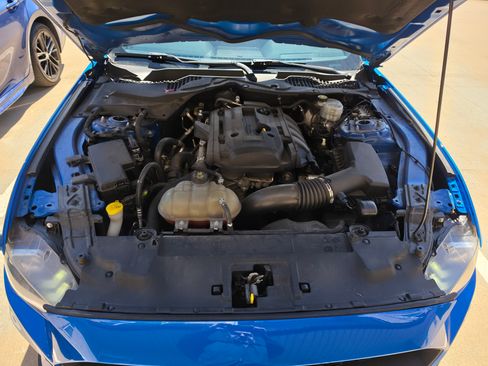 Used 2019 Ford Mustang Coupe image 6