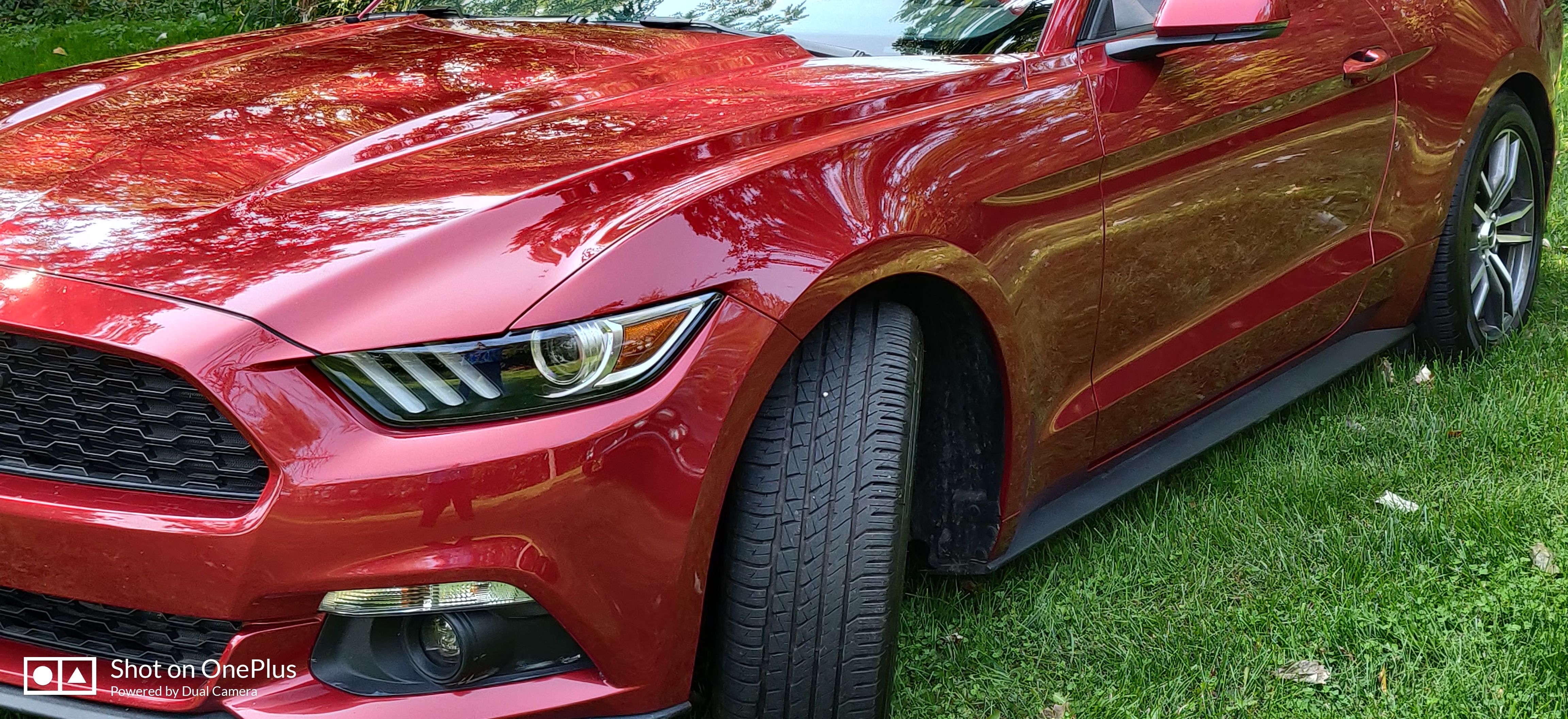 Used 2016 Ford Mustang Premium RWD image 10