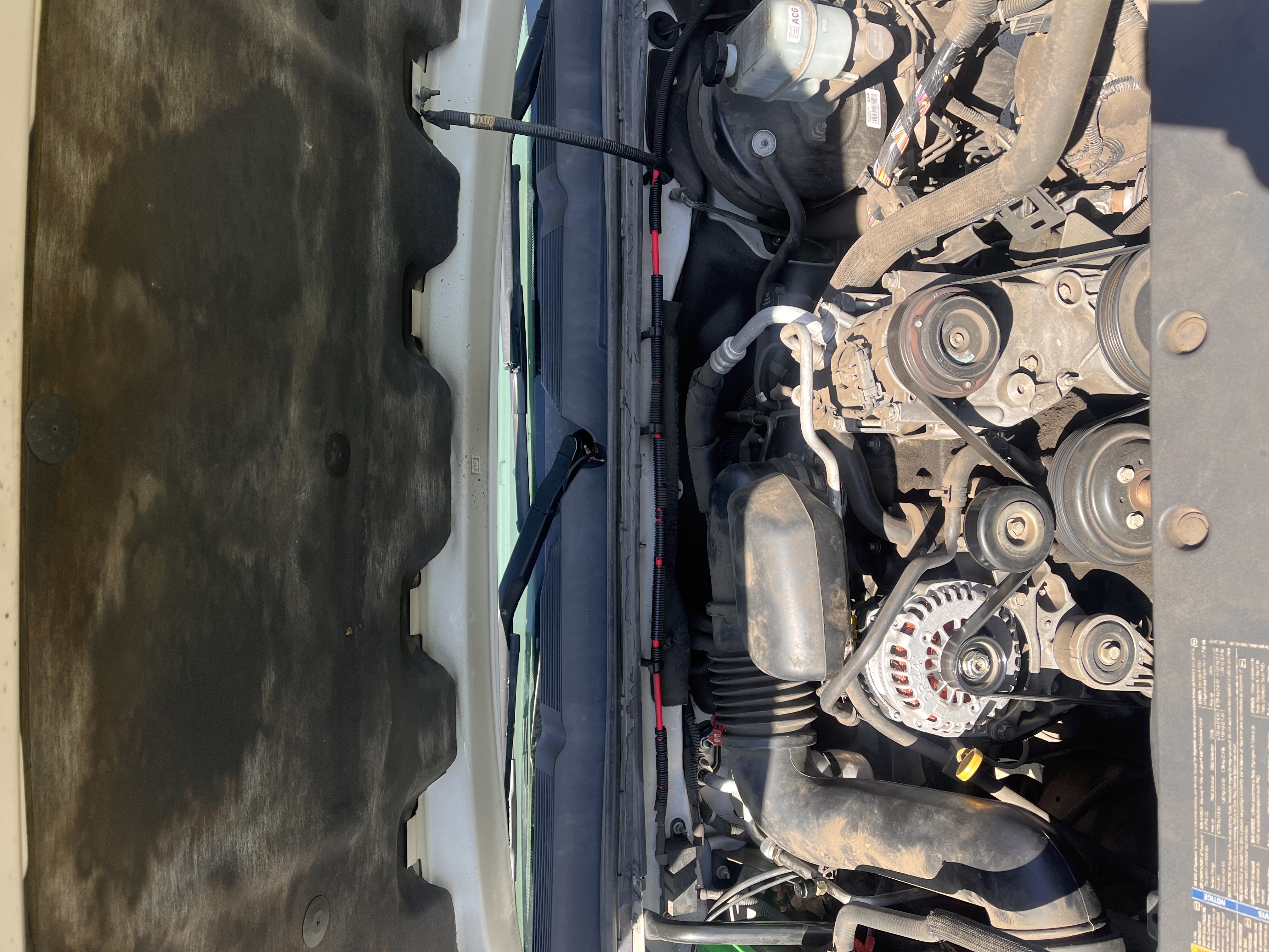 Used 2008 Chevrolet Silverado 1500 W/T RWD image 11