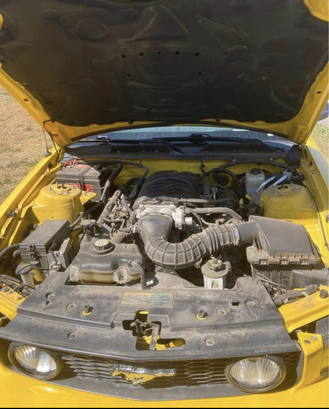 Used 2006 Ford Mustang GT Premium RWD image 6