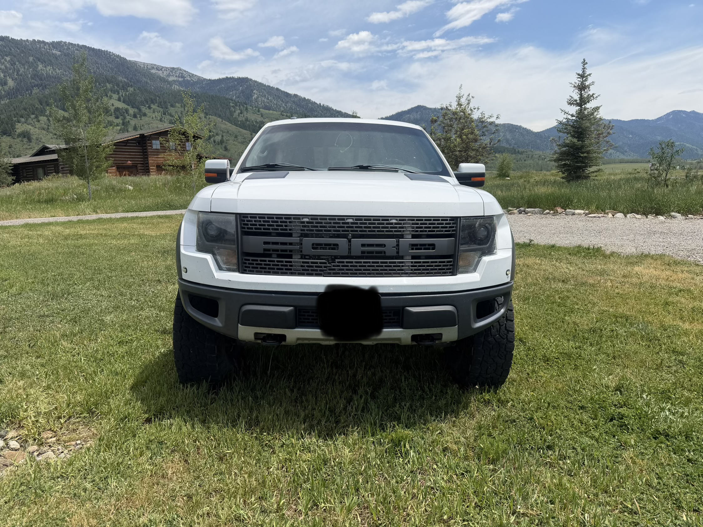 Used 2014 Ford F150 Raptor w/ Equipment Group 801A Luxury AWD/4WD image 4