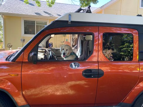 Used 2011 Honda Element EX image 25