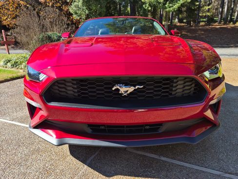 Used 2023 Ford Mustang Premium w/ Equipment Group 201A image 5