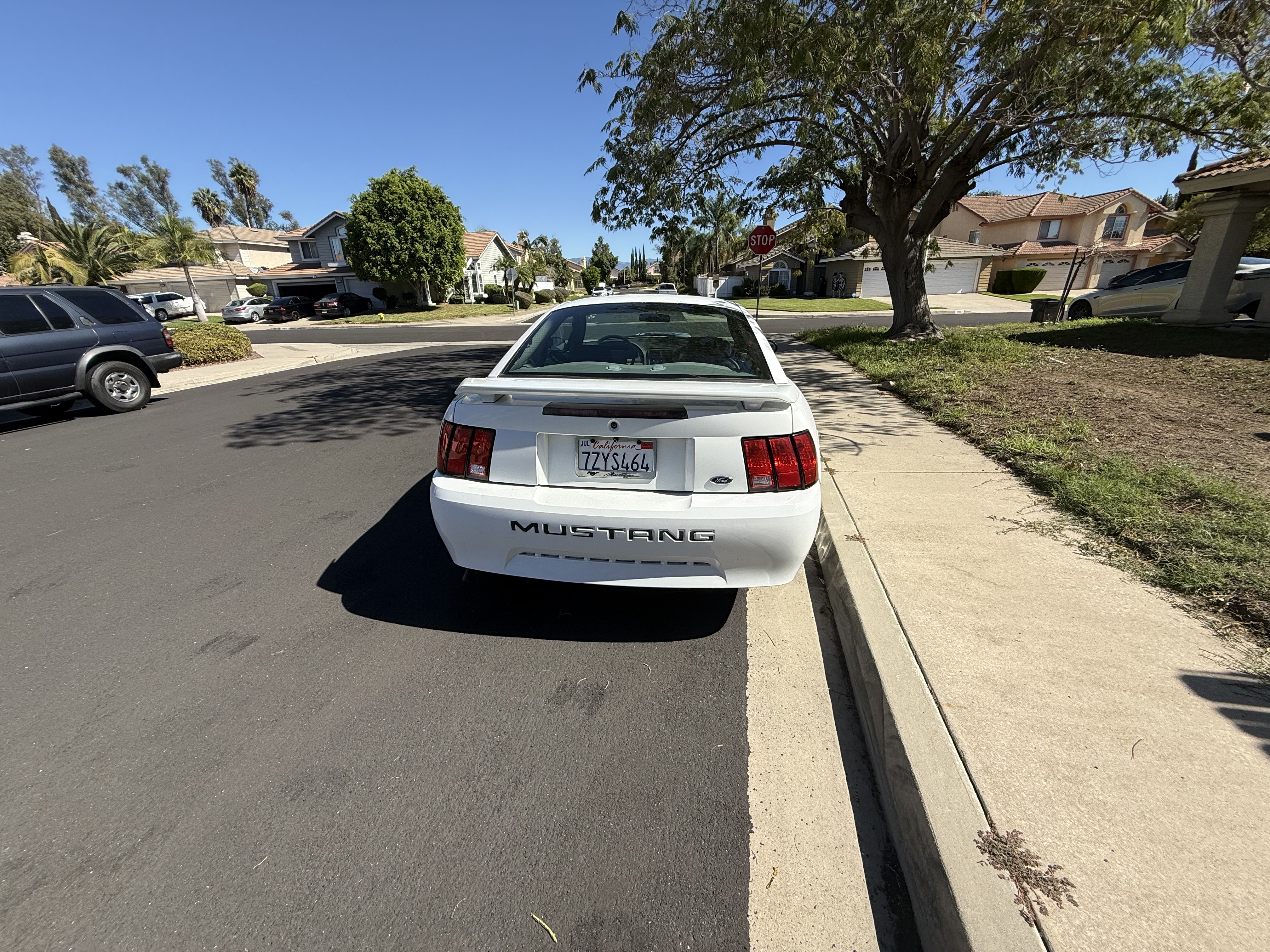 Used 2004 Ford Mustang Coupe RWD image 6