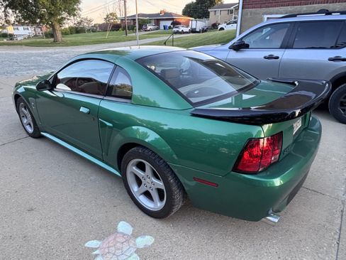 Used 1999 Ford Mustang Cobra RWD image 5