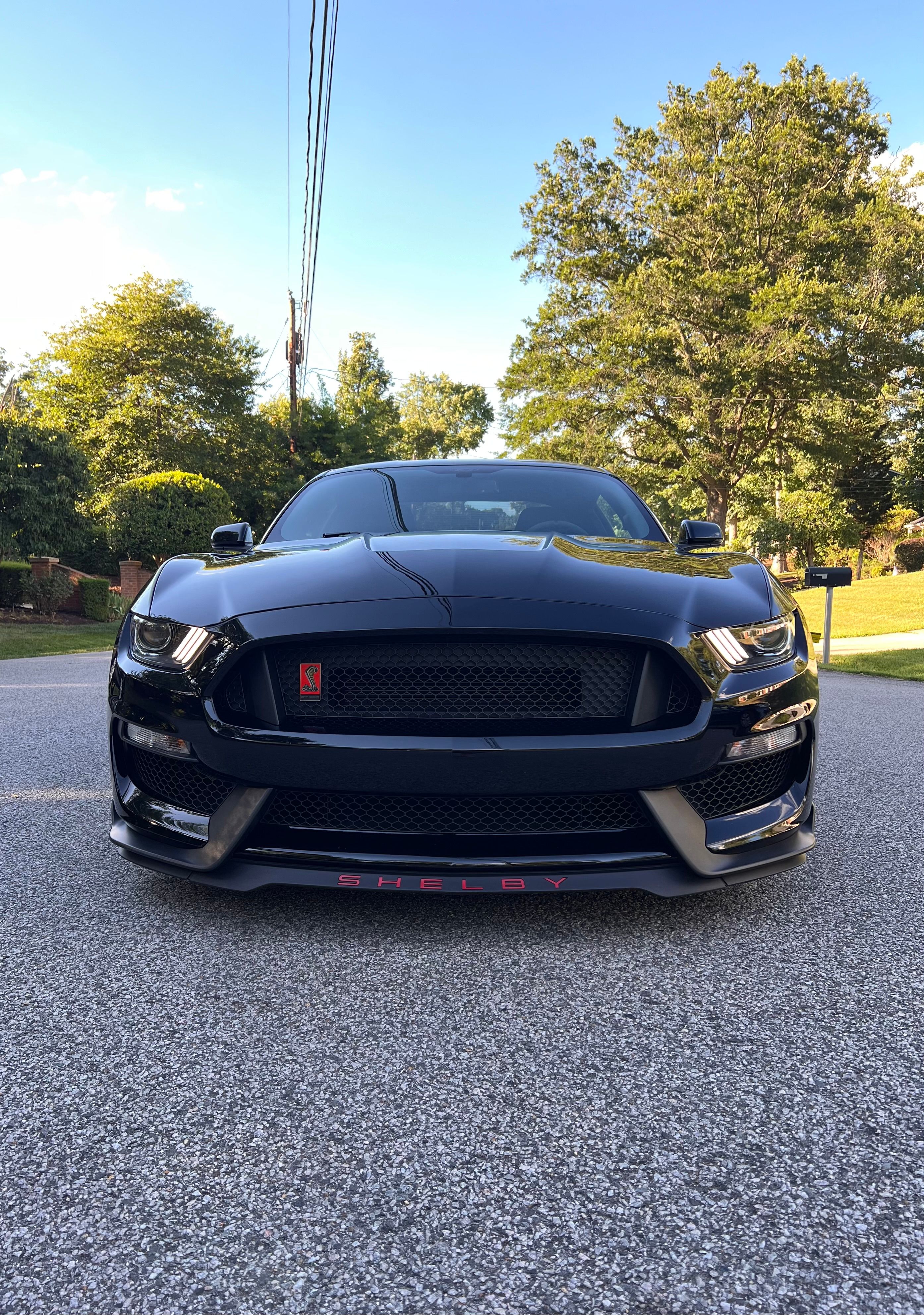 Used 2018 Ford Mustang Shelby GT350 w/ Electronics Package RWD image 1