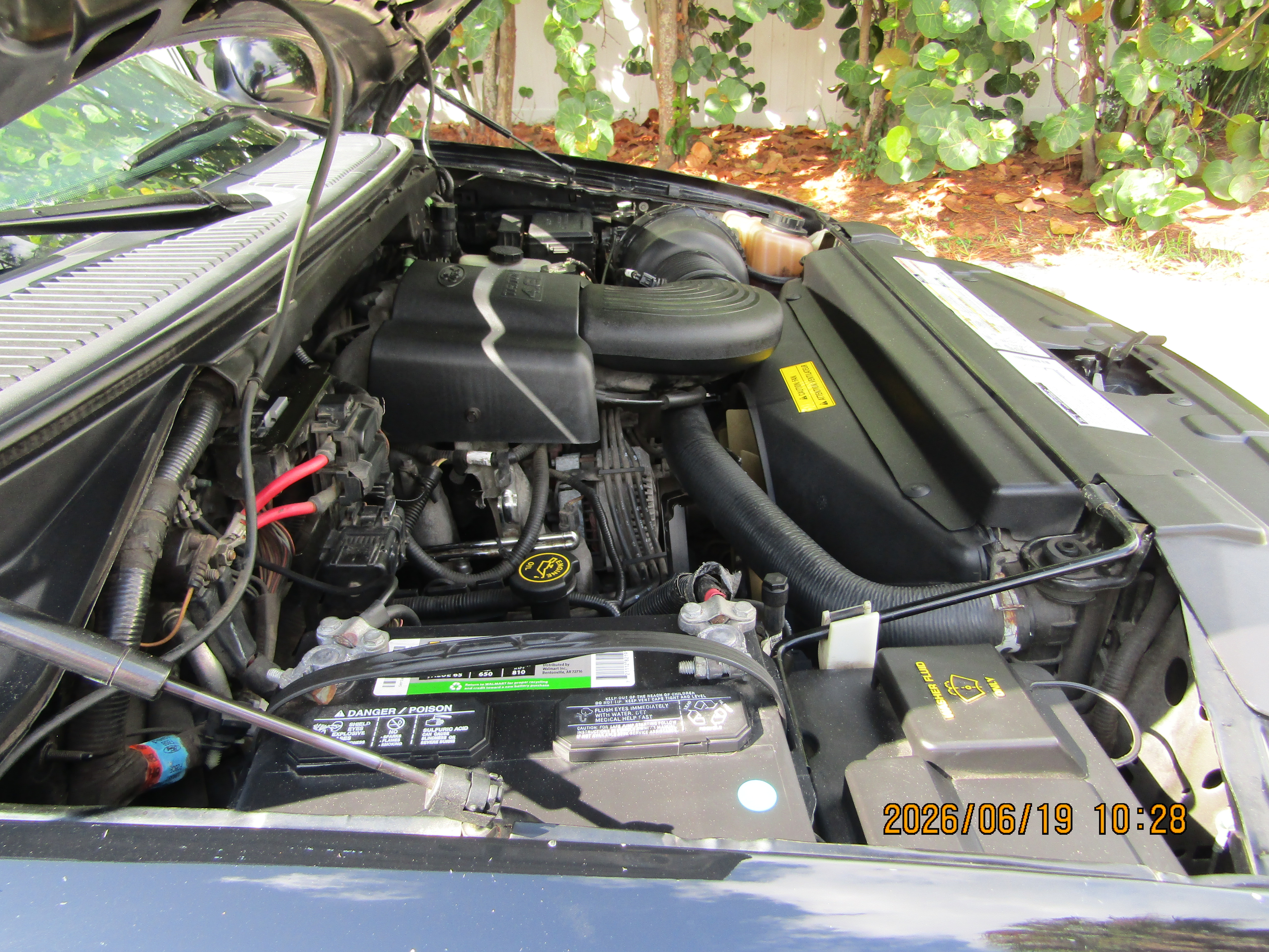 Used 1998 Ford F150 2WD Regular Cab image 30