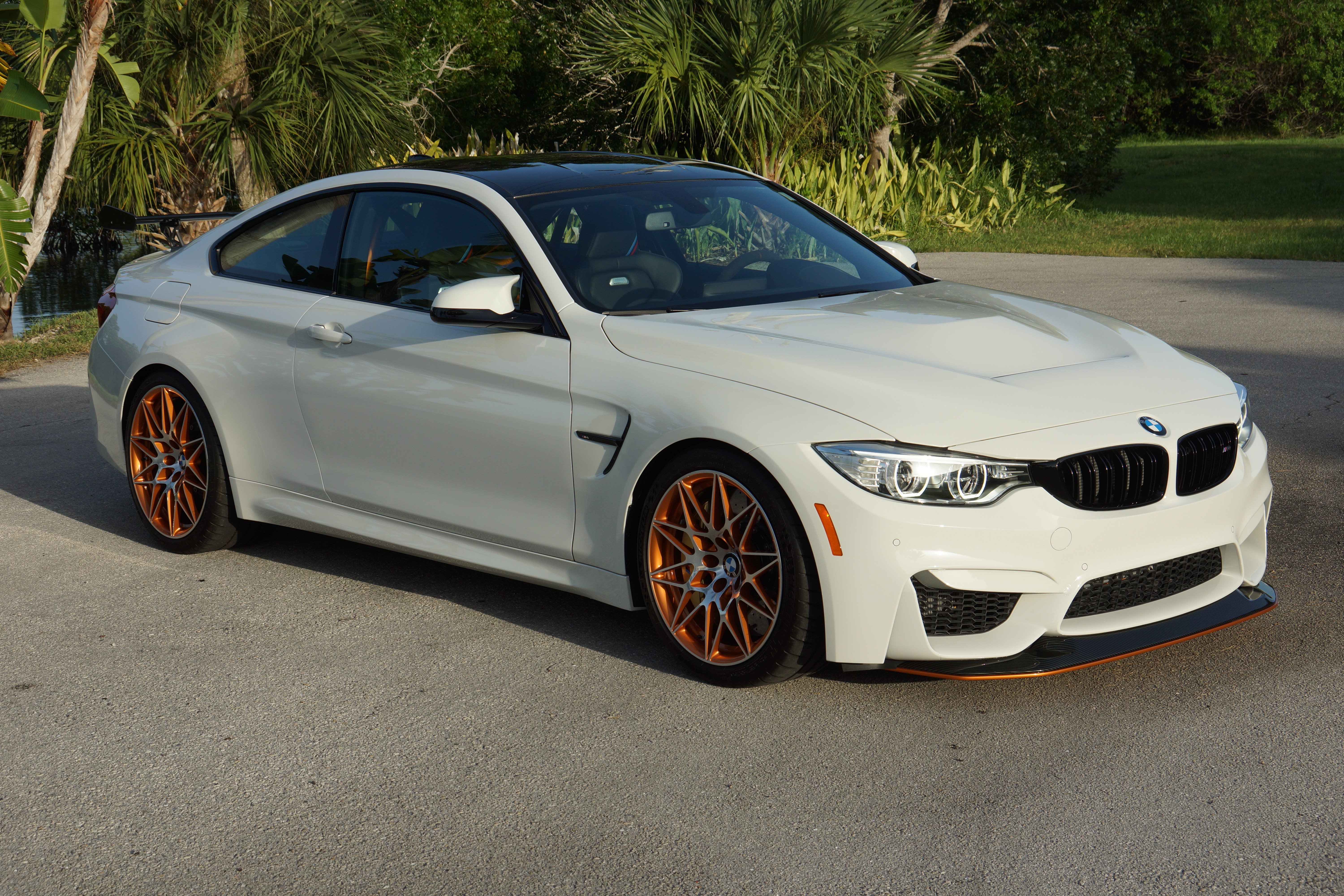 Used 2016 BMW M4 GTS RWD image 5
