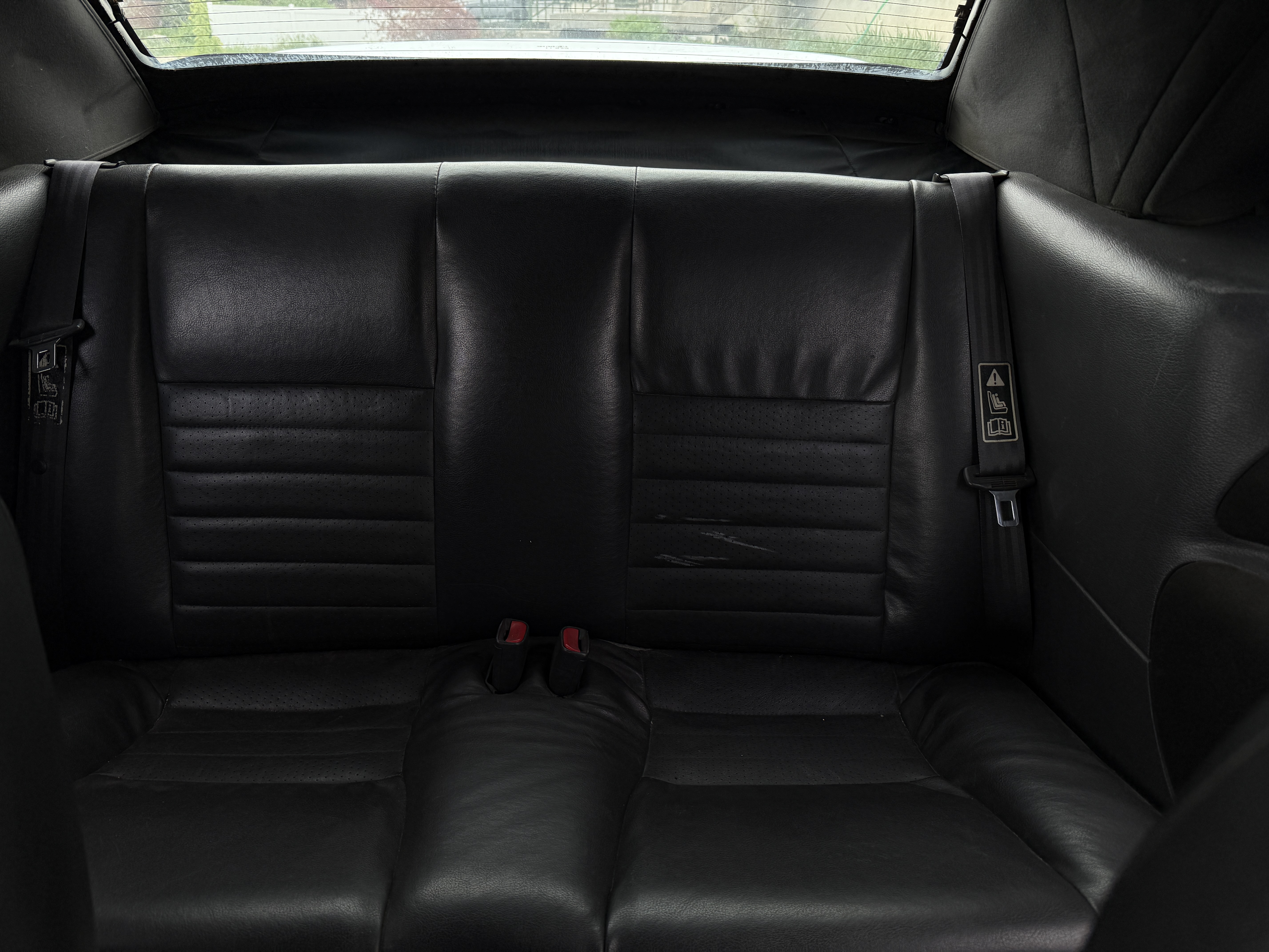 Used 1999 Ford Mustang Cobra RWD image 2