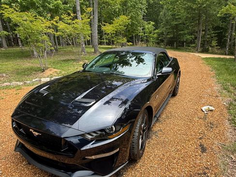 Used 2021 Ford Mustang GT Premium w/ Equipment Group 401A RWD image 2