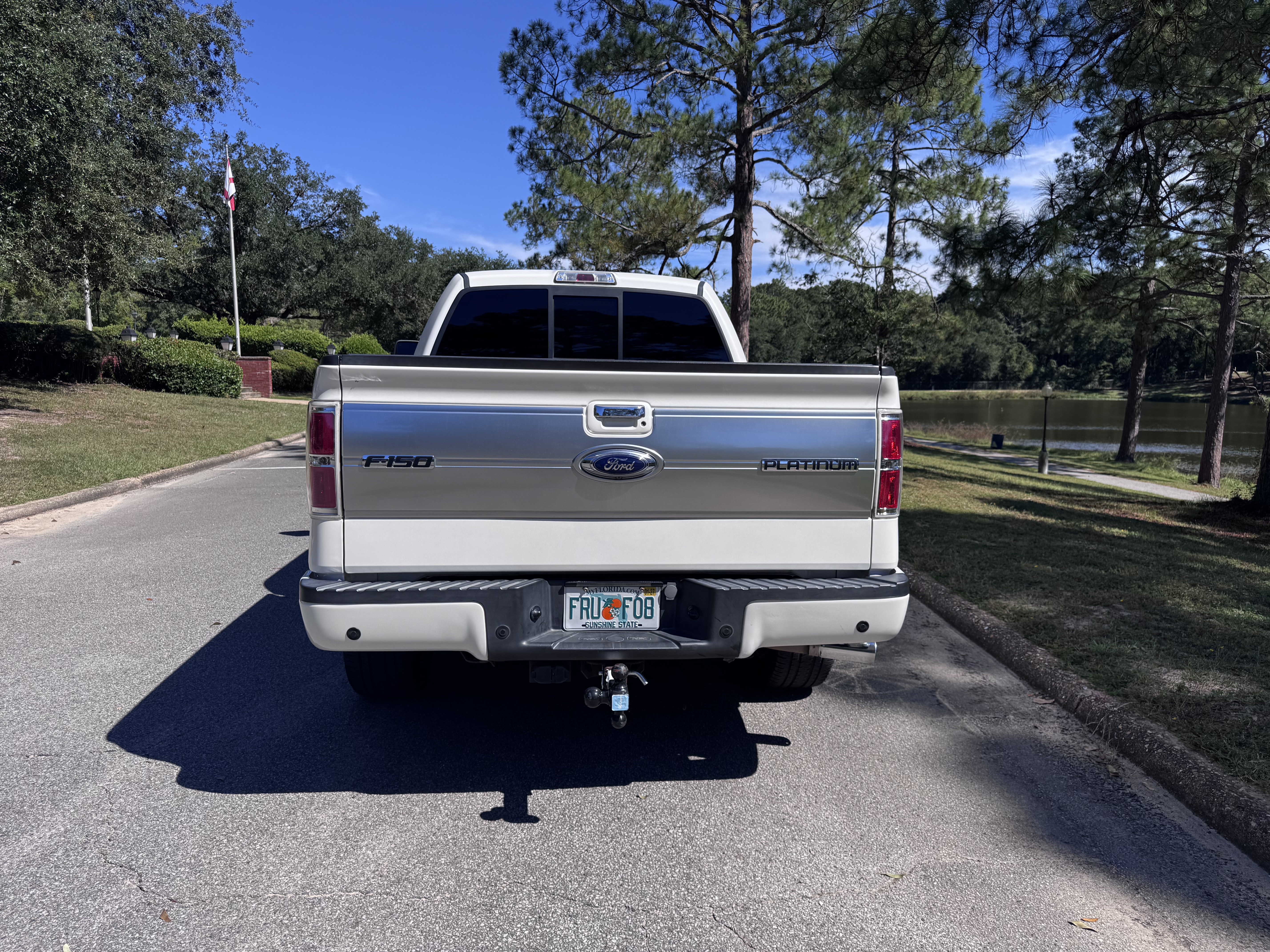 Used 2014 Ford F150 Platinum RWD image 10