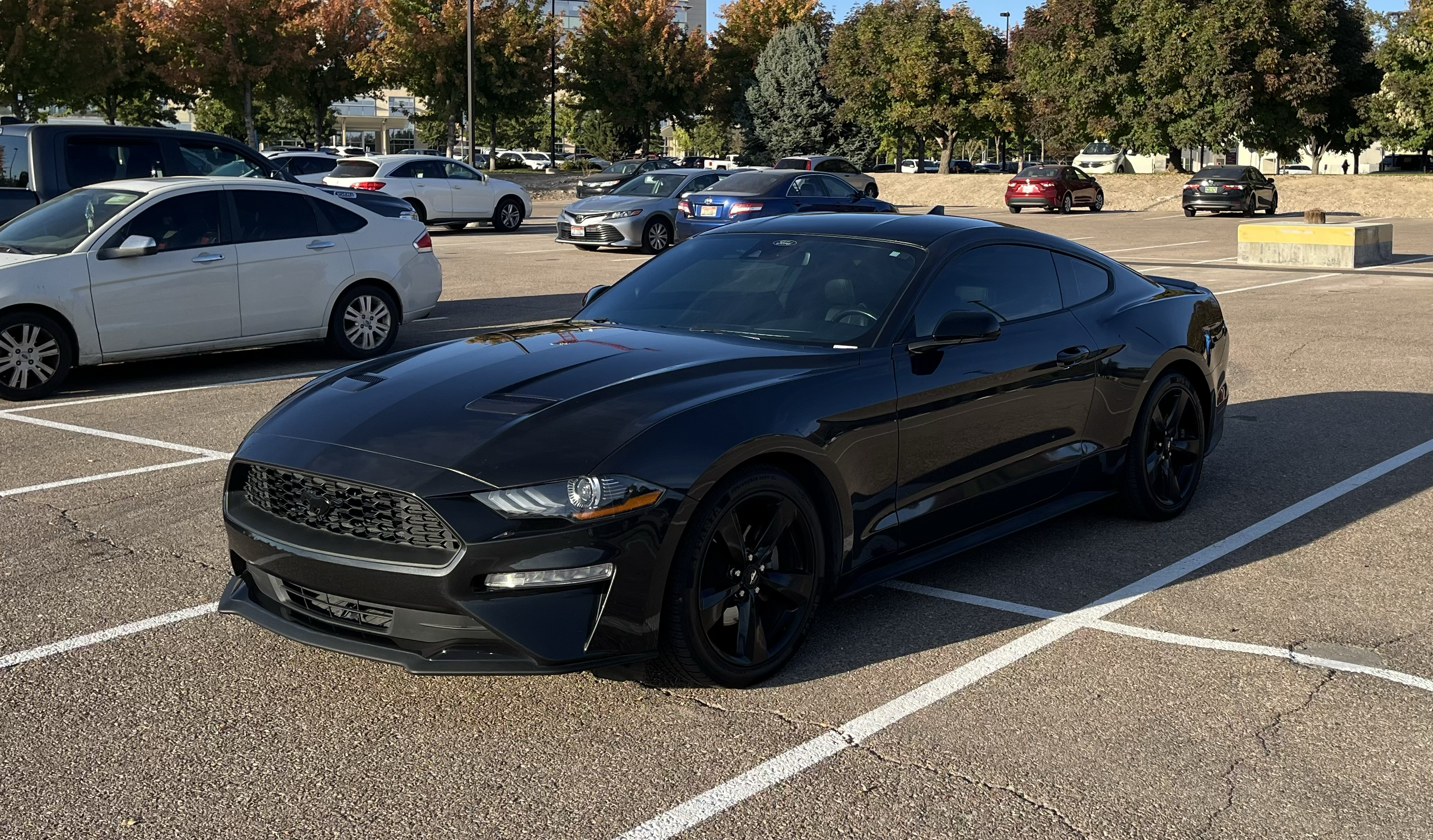 Used 2022 Ford Mustang Premium w/ Black Accent Package RWD image 9