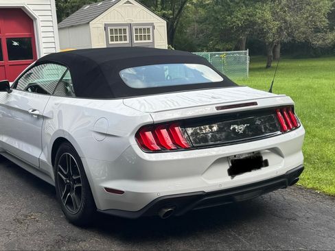 Used 2023 Ford Mustang Premium RWD image 8