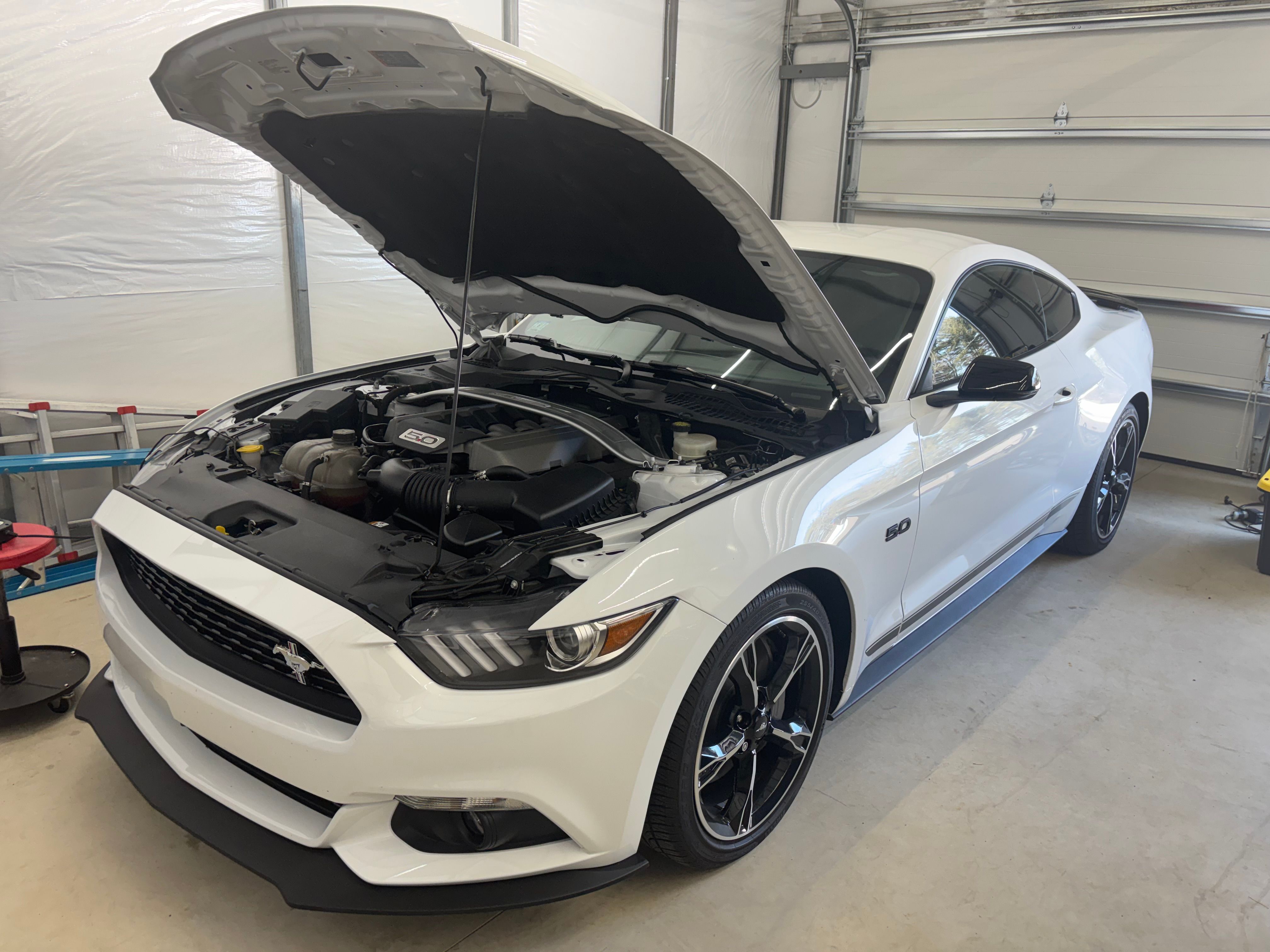 Used 2016 Ford Mustang GT Premium w/ Equipment Group 401A RWD image 2