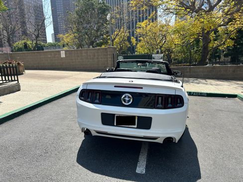 Used 2014 Ford Mustang Premium w/ Equipment Group 201A image 8