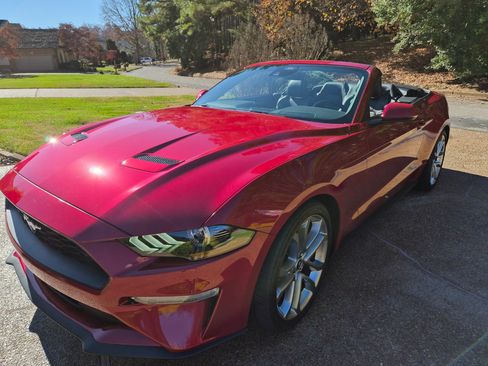 Used 2023 Ford Mustang Premium w/ Equipment Group 201A image 13