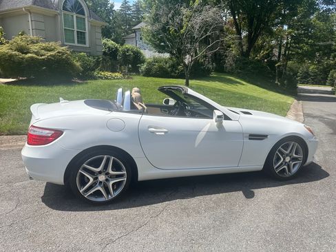 Used 2014 Mercedes-Benz SLK 250 image 2