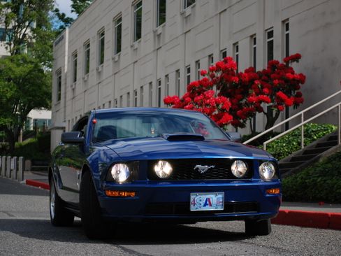 Used 2009 Ford Mustang GT Premium RWD image 12